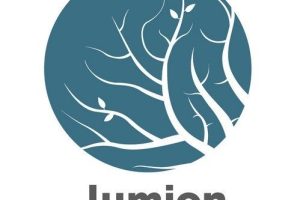 Lumion Pro Crack 13.6 + License Number Full Download 2022